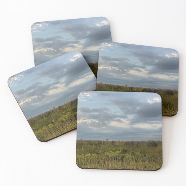 Item preview, Marshland Prairie Panorama designed and sold by LynyrdSky.