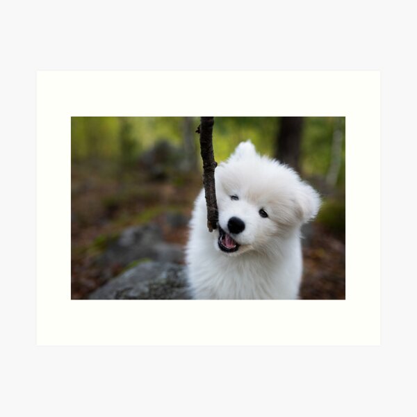 Item preview, Sticks are best designed and sold by Juhku.