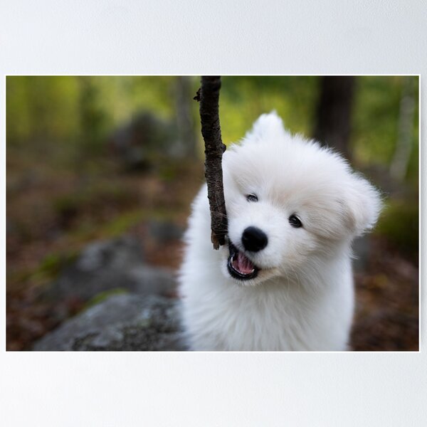 Item preview, Sticks are best designed and sold by Juhku.