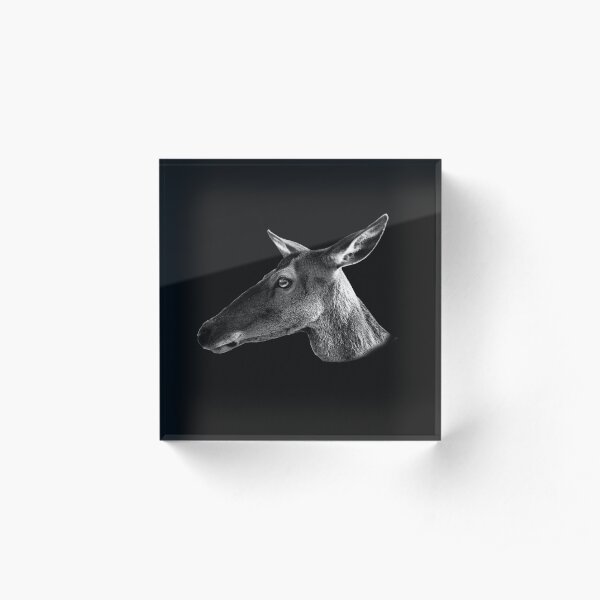 I like you deer Acrylic Block