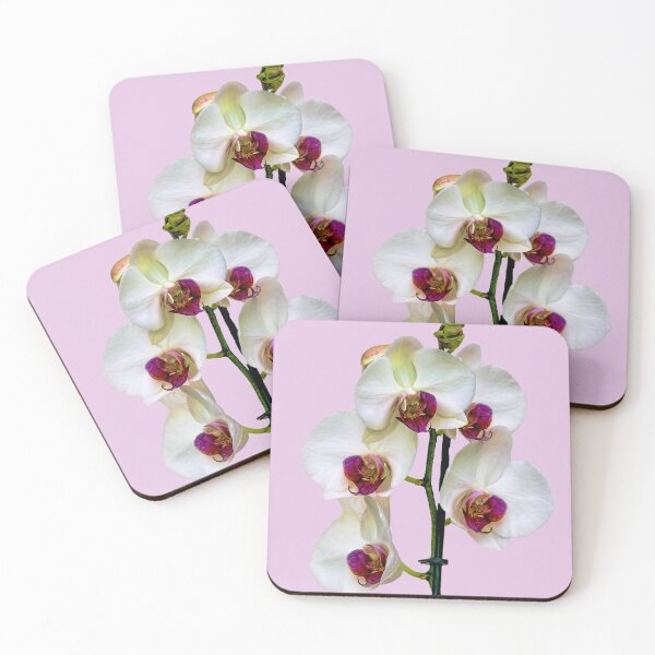 Item preview, Phalaenopsis orchid plant designed and sold by Frank  Irwin.