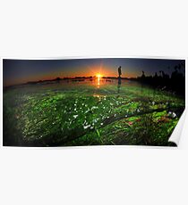 Sunset Walk On The Sea Poster
