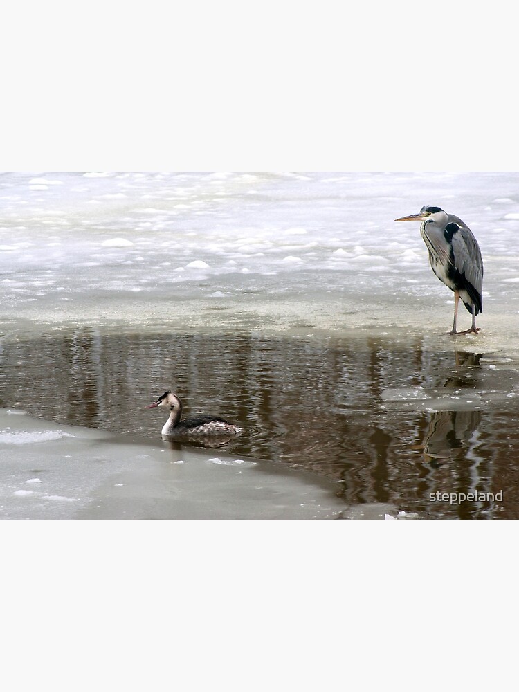 Thumbnail 2 of 2, Greeting Card, Fish enough for both of us?  designed and sold by steppeland.
