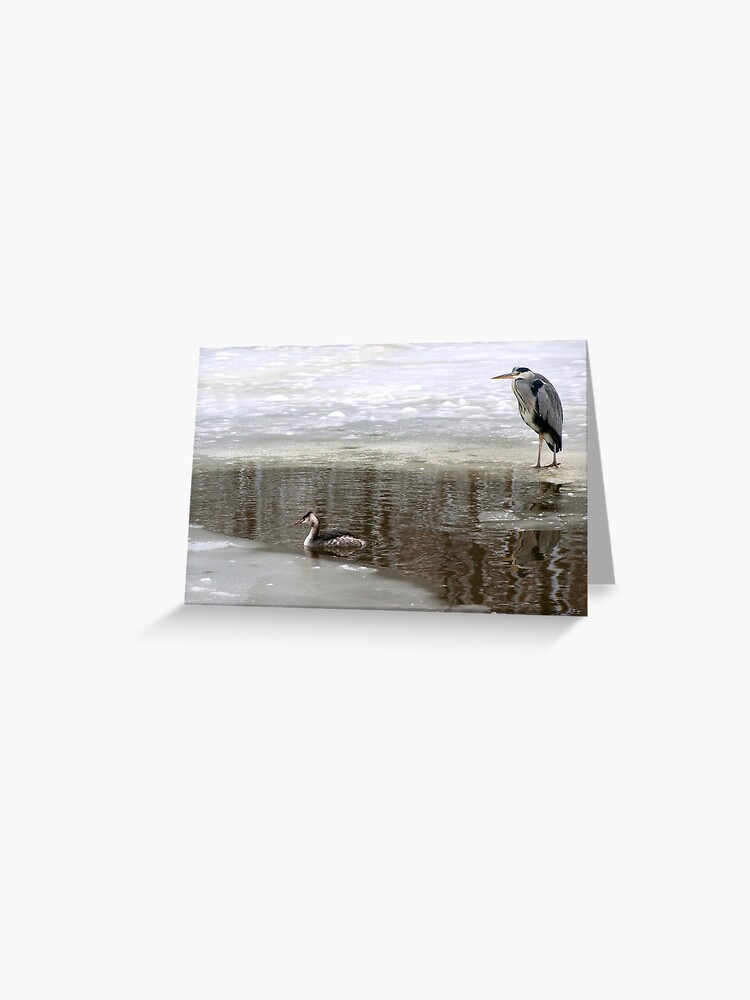 Thumbnail 1 of 2, Greeting Card, Fish enough for both of us?  designed and sold by steppeland.