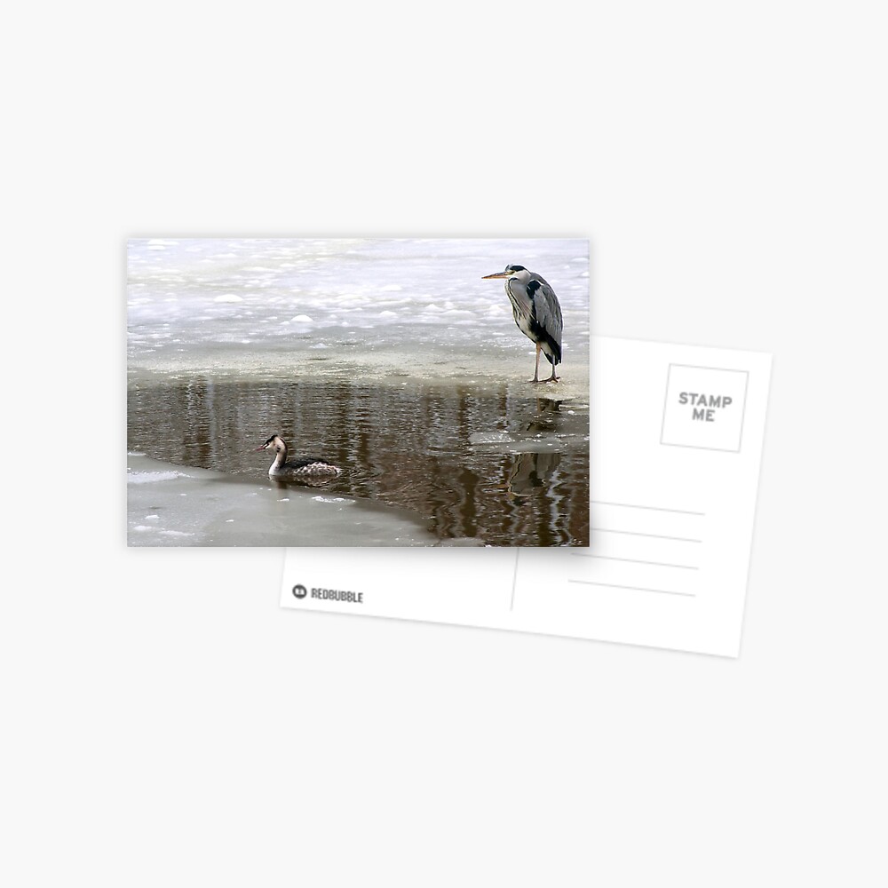 Item preview, Postcard designed and sold by steppeland.