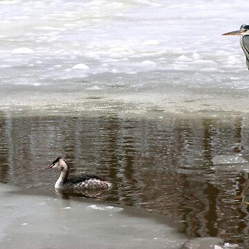 Artwork thumbnail, Fish enough for both of us?  by steppeland