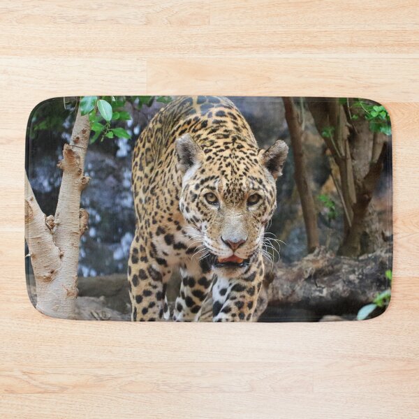 Item preview, Jaguar 001 designed and sold by JAMFoto.
