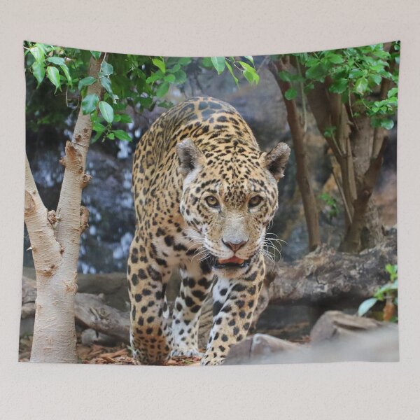 Item preview, Jaguar 001 designed and sold by JAMFoto.
