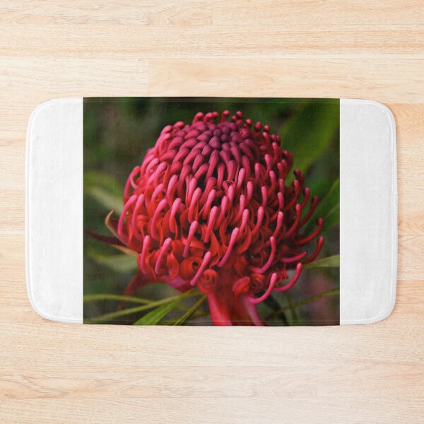 Item preview, Waratah Perfection - Mt Wilson NSW Australia designed and sold by Bev Woodman.