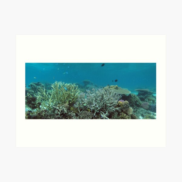 Nusatupe Lagoon Art Print