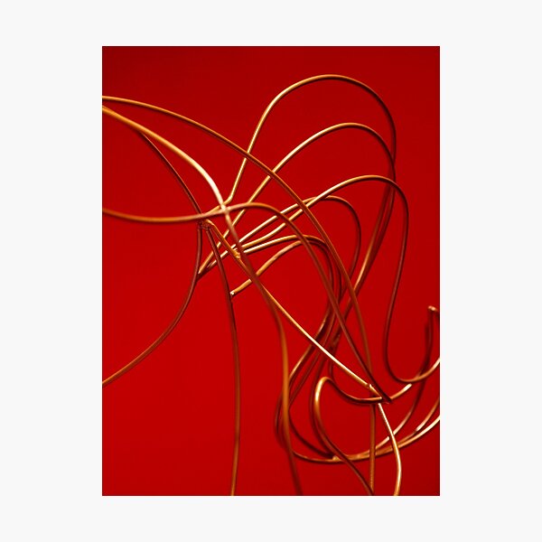 Twisted Photographic Print