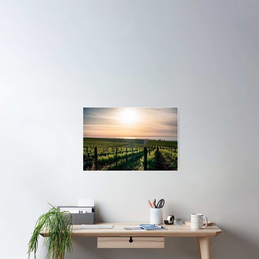 In Vino Veritas III Poster