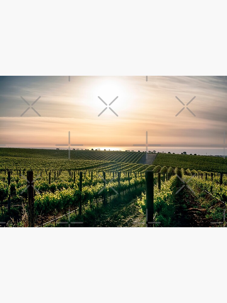 In Vino Veritas III by RayW