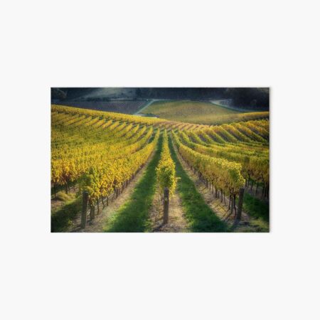 In Vino Veritas IV Art Board Print