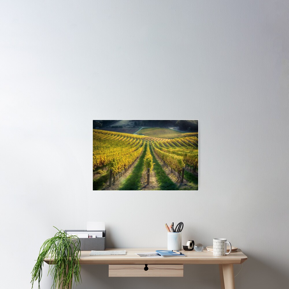 In Vino Veritas IV Poster