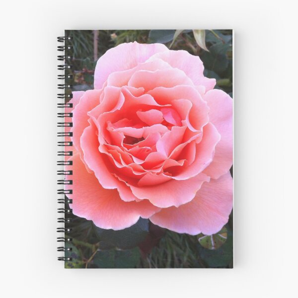 Item preview, Peach Pink Rose designed and sold by Rubywoodwytch.