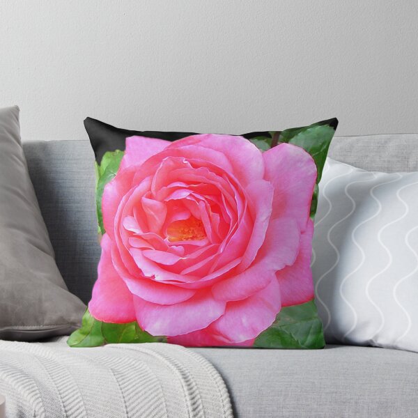Item preview, Toolangi Pink Rose 3 designed and sold by Rubywoodwytch.