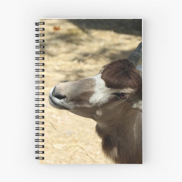 Item preview, Addax, Sahara Desert Antelope designed and sold by Anna Lemos.