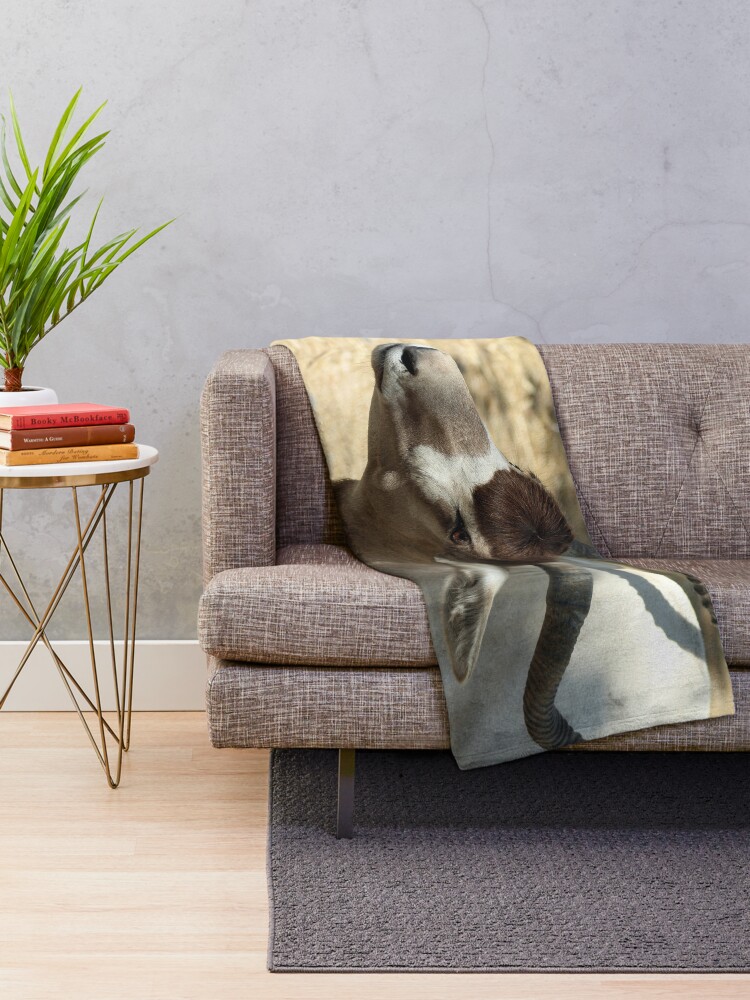 "Addax, Sahara Desert Antelope" Throw Blanket for Sale by oknoki