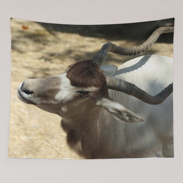 Item preview, Addax, Sahara Desert Antelope designed and sold by Anna Lemos.