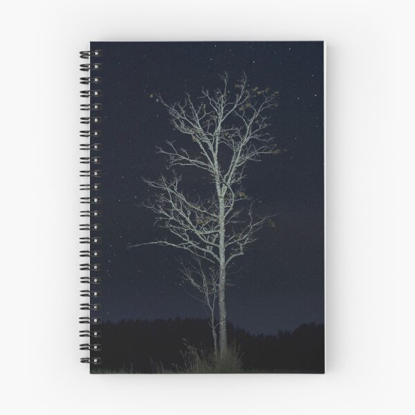Aperçu de l'œuvre Arbre de nuit créée et vendue par Julia Pärnänen.