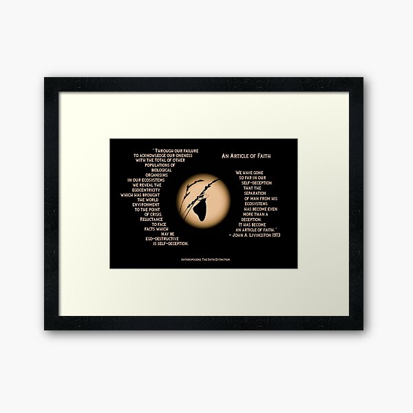 Framed Print