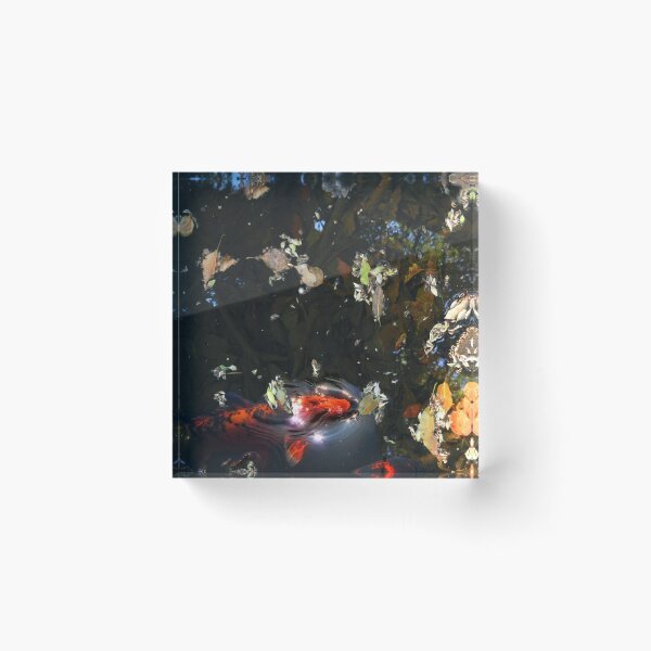 Item preview, Leaves and koi in a pond designed and sold by Sylvan Myst.