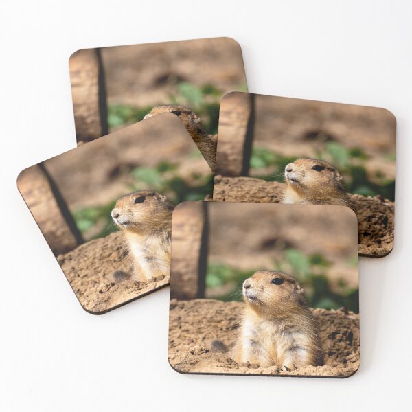 Item preview, Peaking Up Prairie Dog designed and sold by Dylan Lawrence.