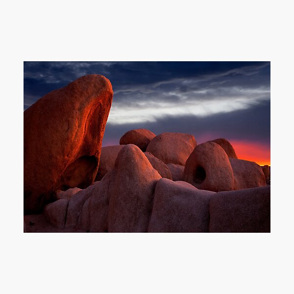 Item preview, Joshua Tree NP designed and sold by Cecil Whitt.