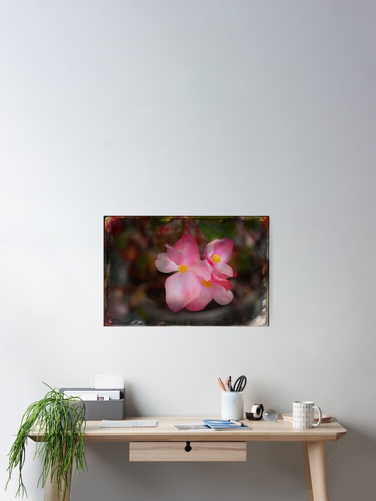 Thumbnail 2 of 3, Poster, Peace Within designed and sold by Rozalia Toth.