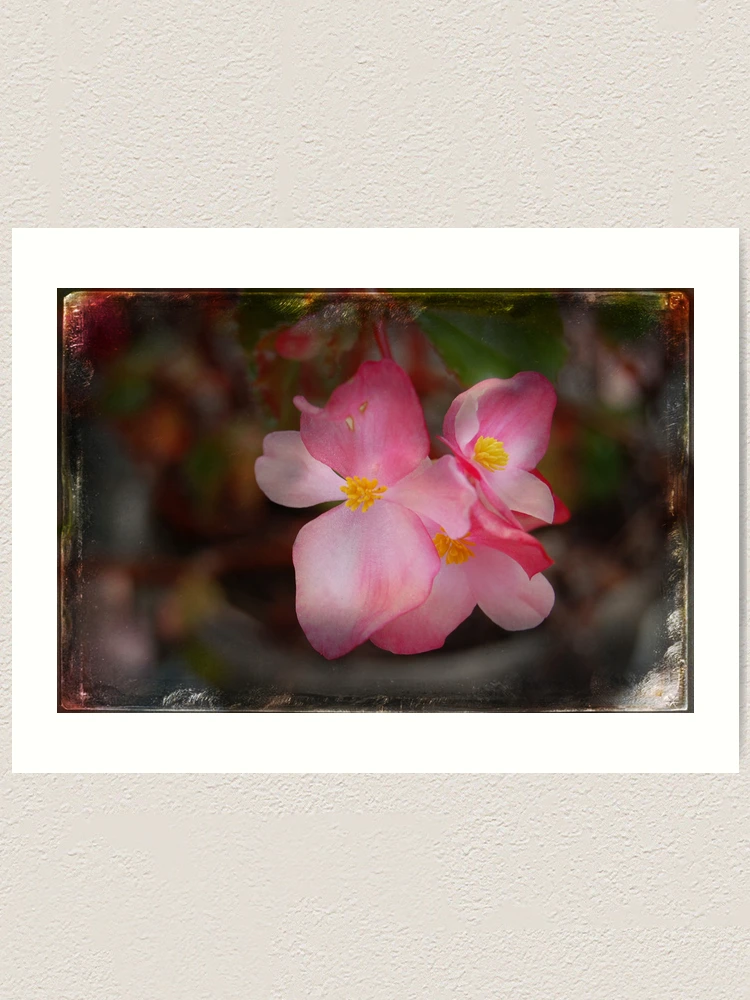 Thumbnail 1 von 3, Kunstdruck, Peace Within designt und verkauft von Rozalia Toth.