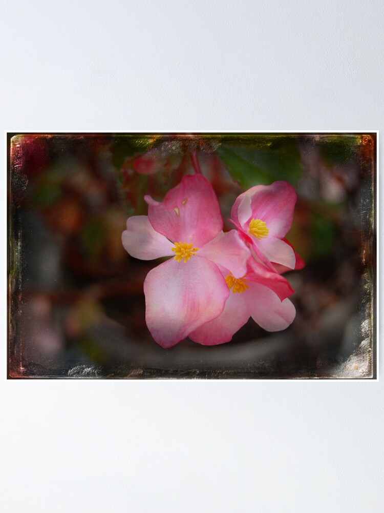 Thumbnail 1 of 3, Poster, Peace Within designed and sold by Rozalia Toth.