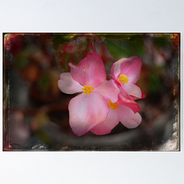 Item preview, Peace Within designed and sold by Rozalia Toth.