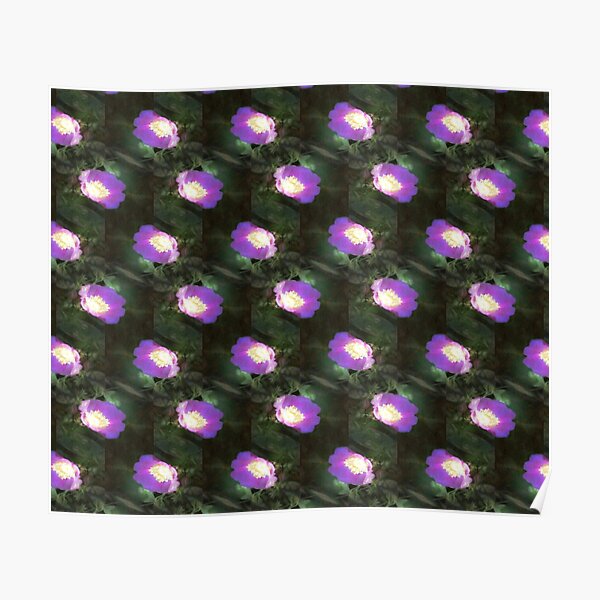 glowing old fashioned rose elegance pattern Poster