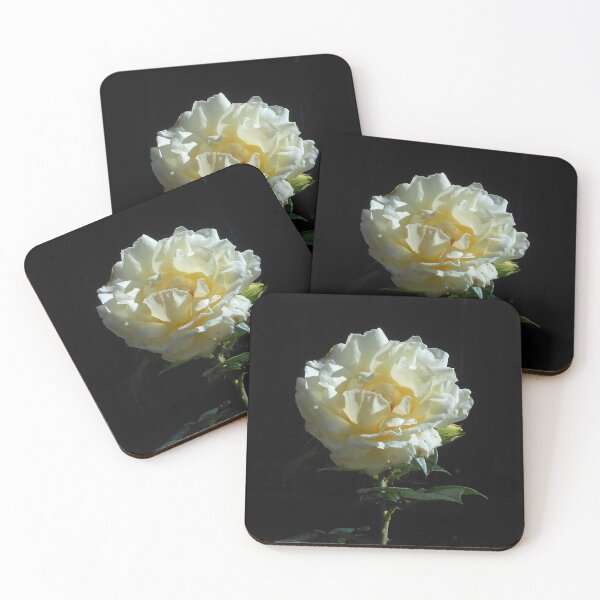 Item preview, Purity - Beautiful Rose on Dark Background designed and sold by BlueMoonRose.