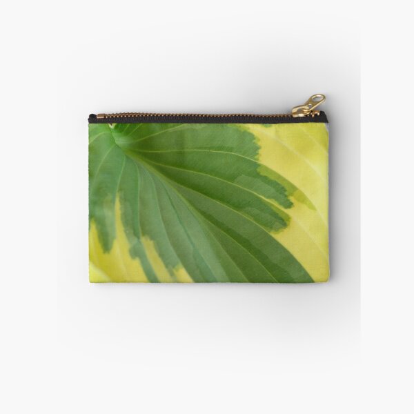 Item preview, Hosta  'Wide Brim'  Plantain lily  designed and sold by Chris Burrows.