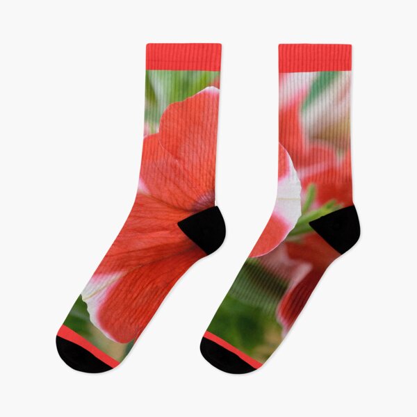 Item preview, Petunia  'Peppy Red'  designed and sold by Chris Burrows.