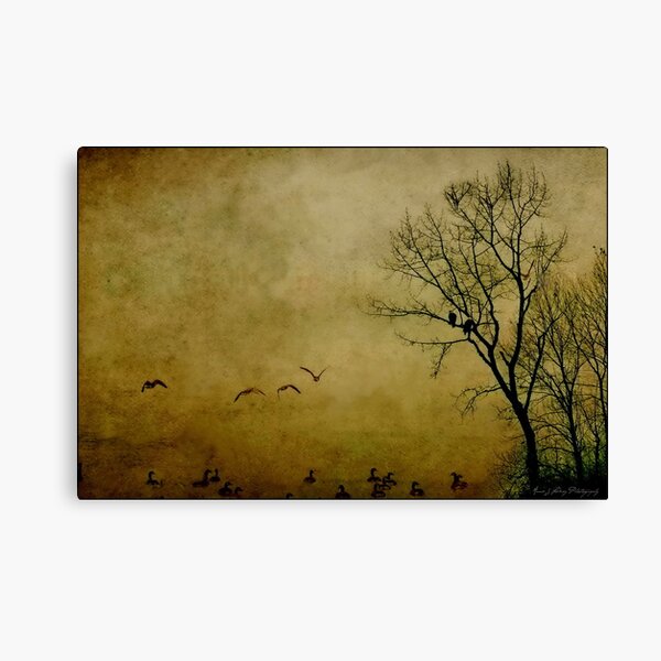 Resting Point Canvas Print