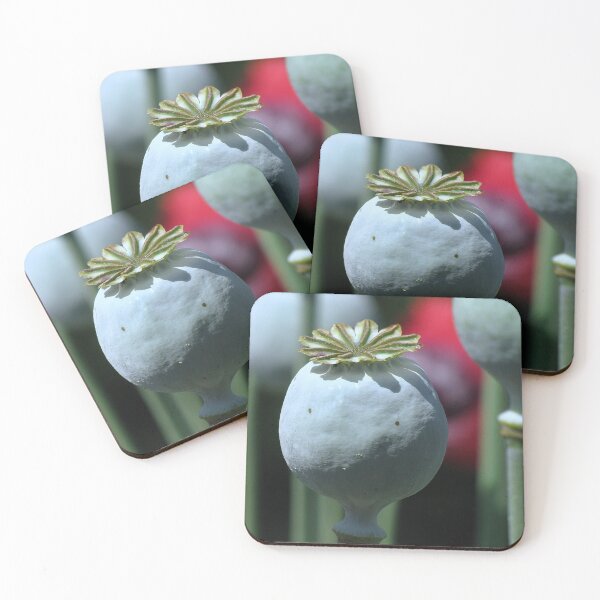 Item preview, Ahead of the others designed and sold by Sharon Perrett.