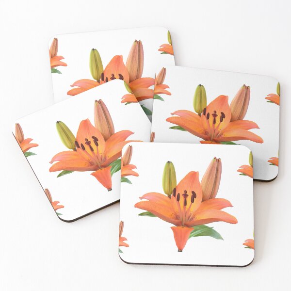 Item preview, Lilium  'Orange Pixie'  Dwarf Asiatic lily  designed and sold by Chris Burrows.