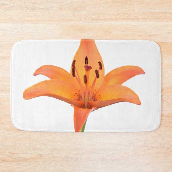 Item preview, Lilium  'Orange Pixie'  Dwarf Asiatic lily  designed and sold by Chris Burrows.