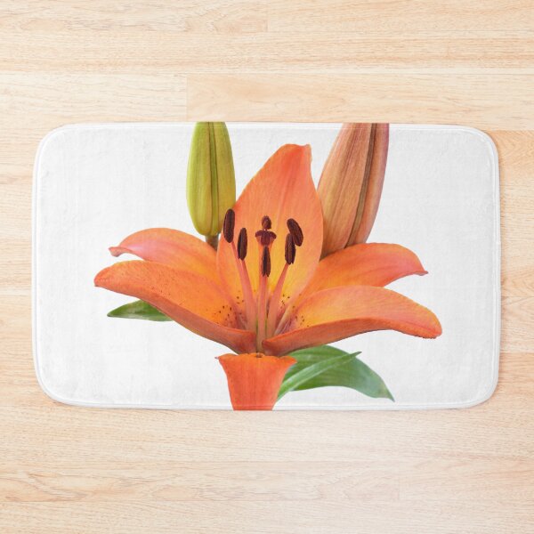 Item preview, Lilium  'Orange Pixie'  Dwarf Asiatic lily  designed and sold by Chris Burrows.