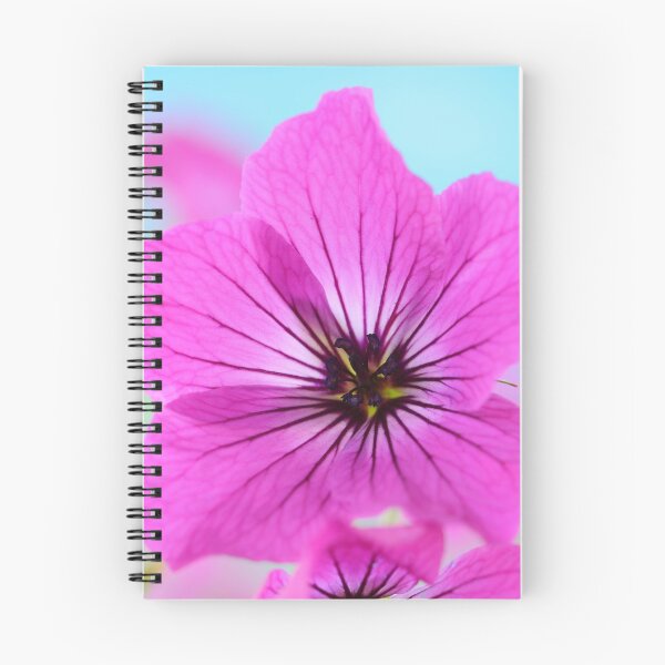 Item preview, Geranium psilostemon  AGM  Armenian cranesbill   designed and sold by Chris Burrows.