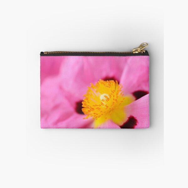 Item preview, Cistus × purpureus   AGM  Purple-flowered rock rose  designed and sold by Chris Burrows.