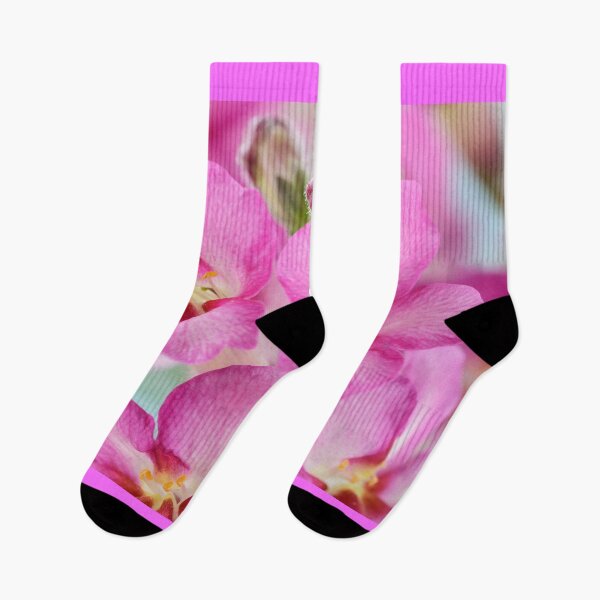 Item preview, Antirrhinum  'Antirinca Rose'  Snapdragon  designed and sold by Chris Burrows.