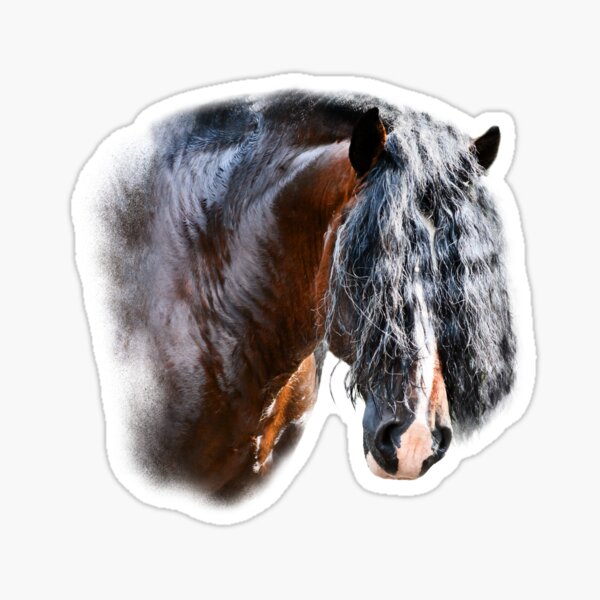 Shire Horse Luis Sticker