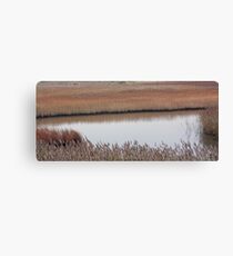 "Walking in the reeds of gold" Canvas Print