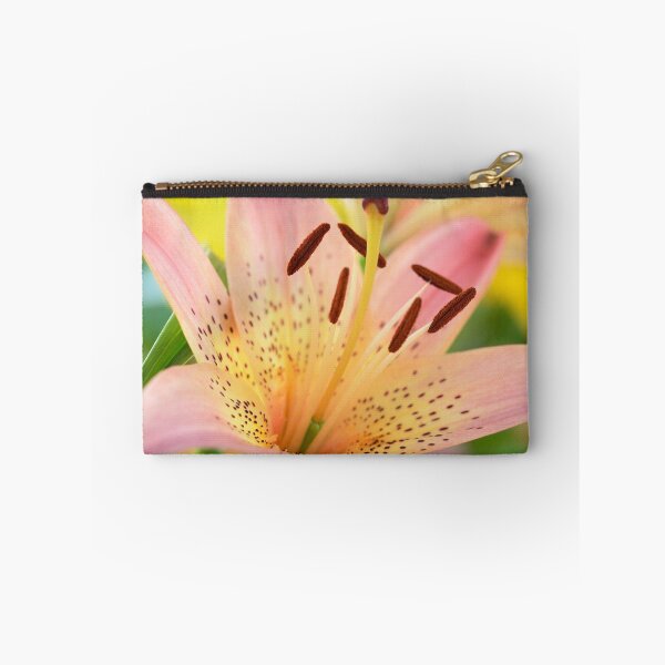 Item preview, Lilium  'Pink Pixie'  Dwarf Asiatic lily  designed and sold by Chris Burrows.