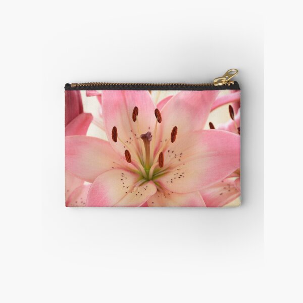 Item preview, Lilium  'Rosella's Dream'  Asiatic lily   designed and sold by Chris Burrows.