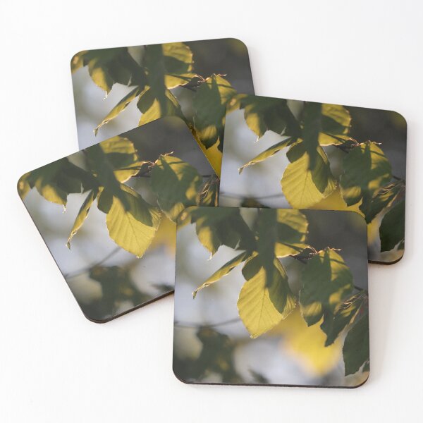 Item preview, Sunlit designed and sold by cuprum.